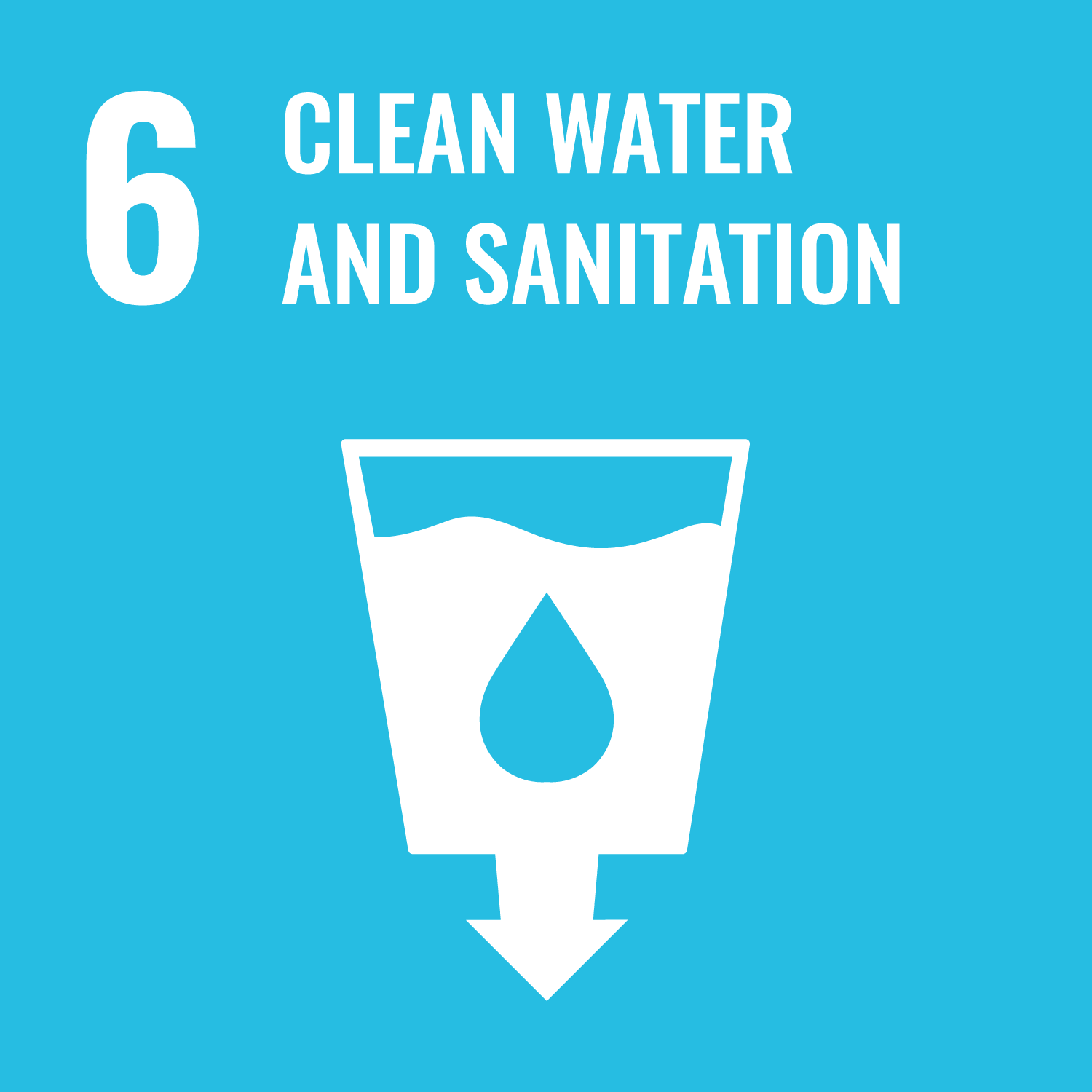 SDG Icon