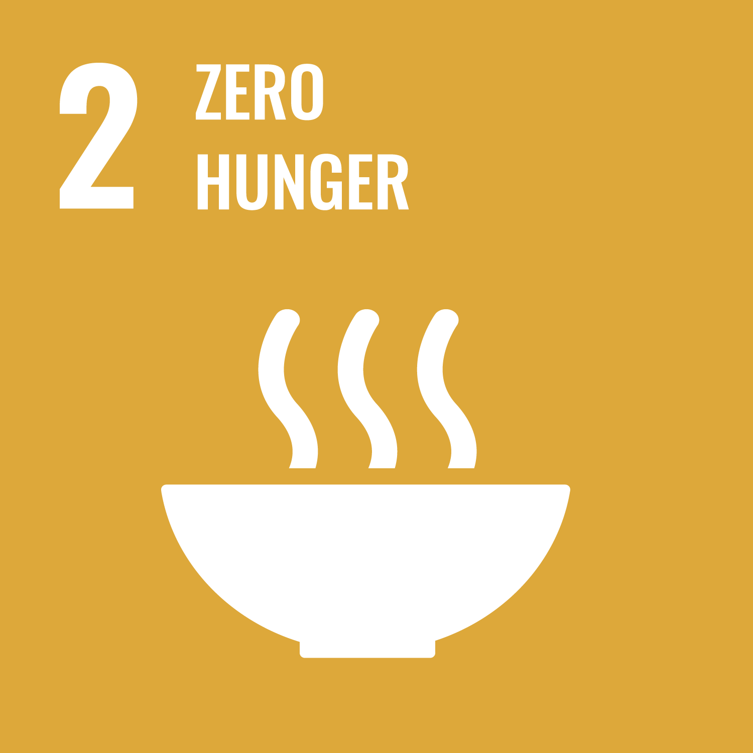 SDG Icon