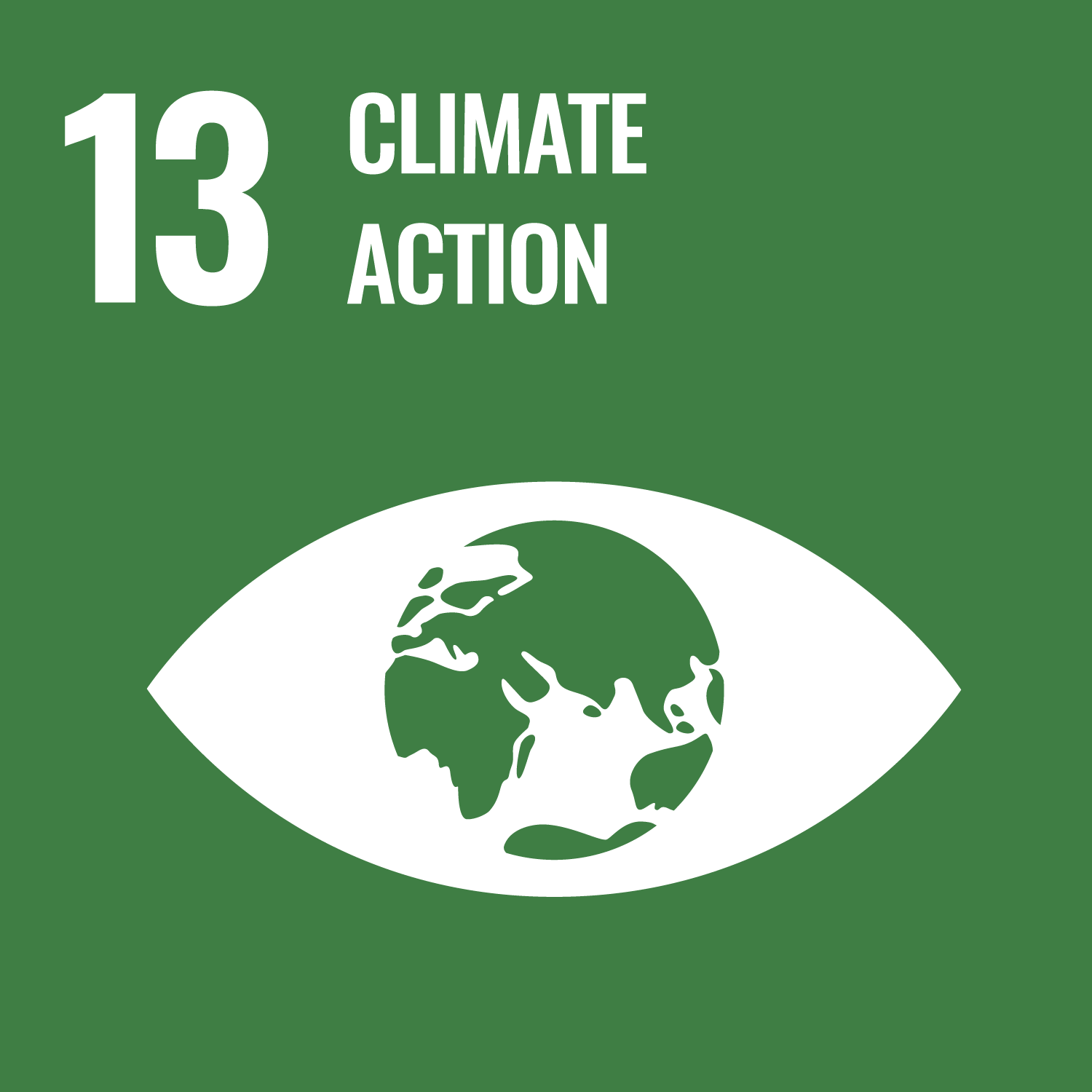 SDG Icon