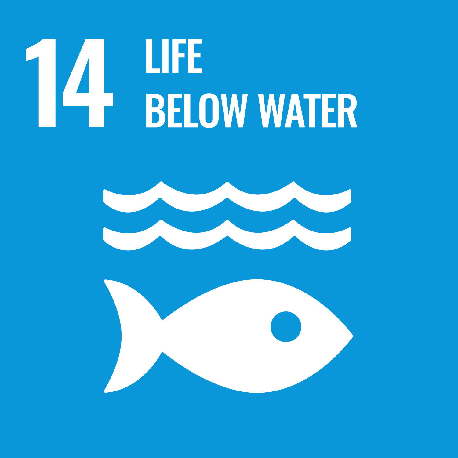 SDG Icon