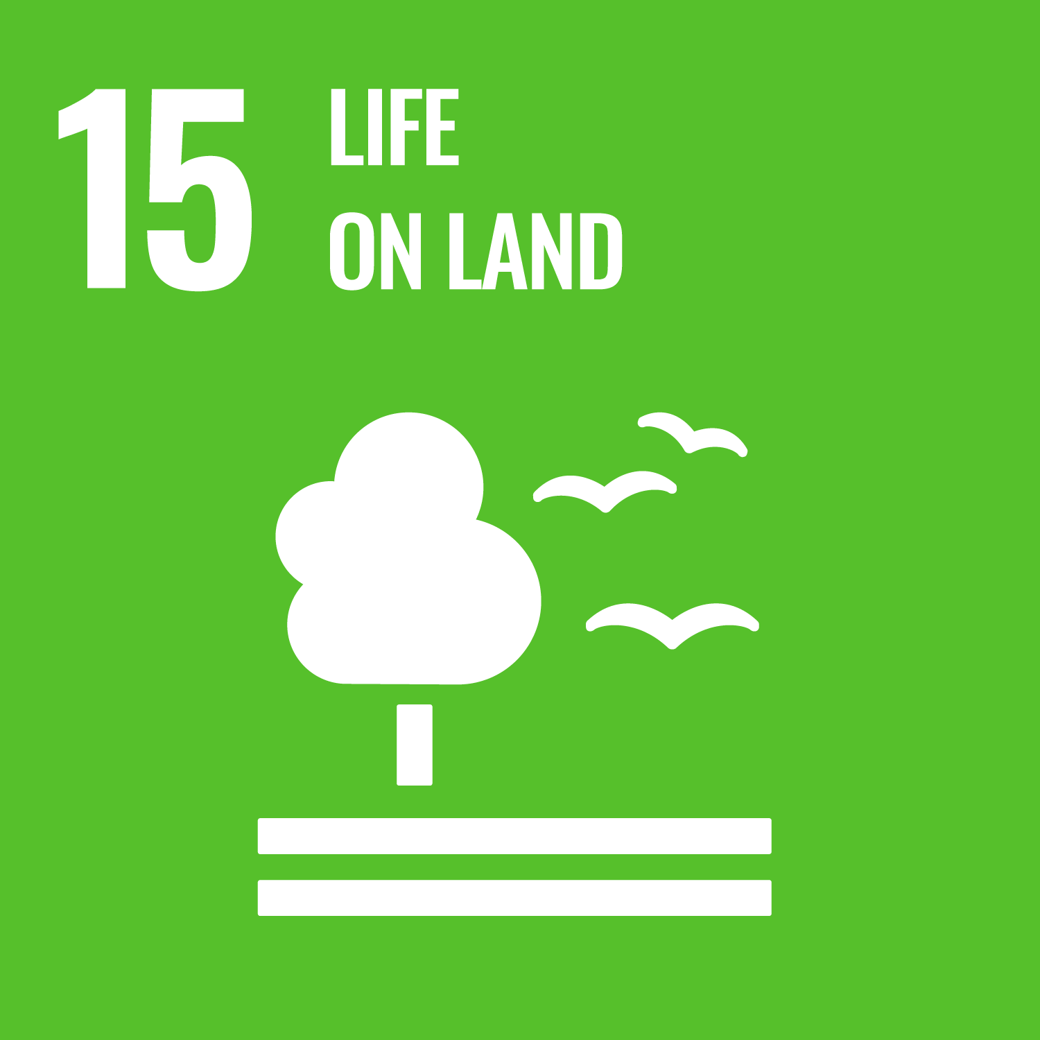 SDG Icon