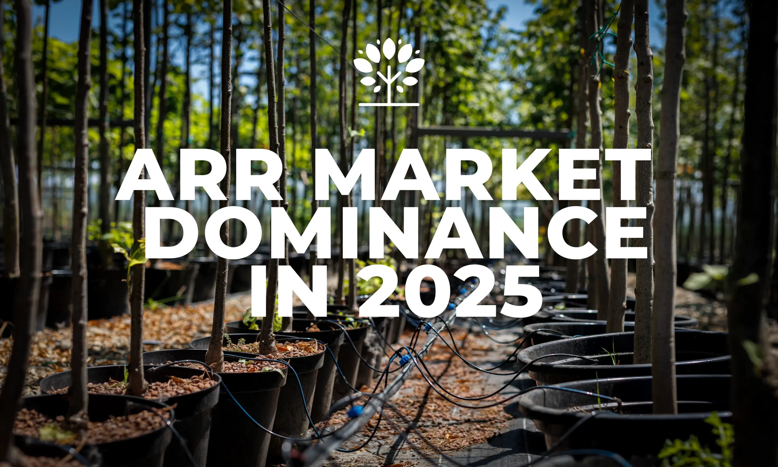 ARR market dominance in 2025 - afforestation and reforestation leading the voluntary carbon market
